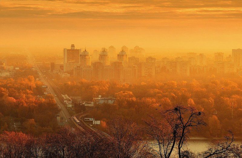 Карамельphoto preview