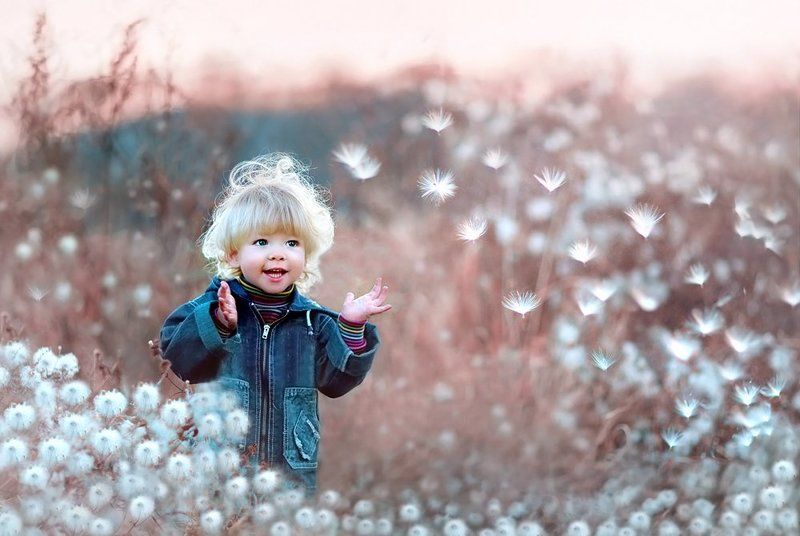 Чудоphoto preview