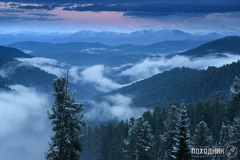 Вечер в тайгеphoto preview