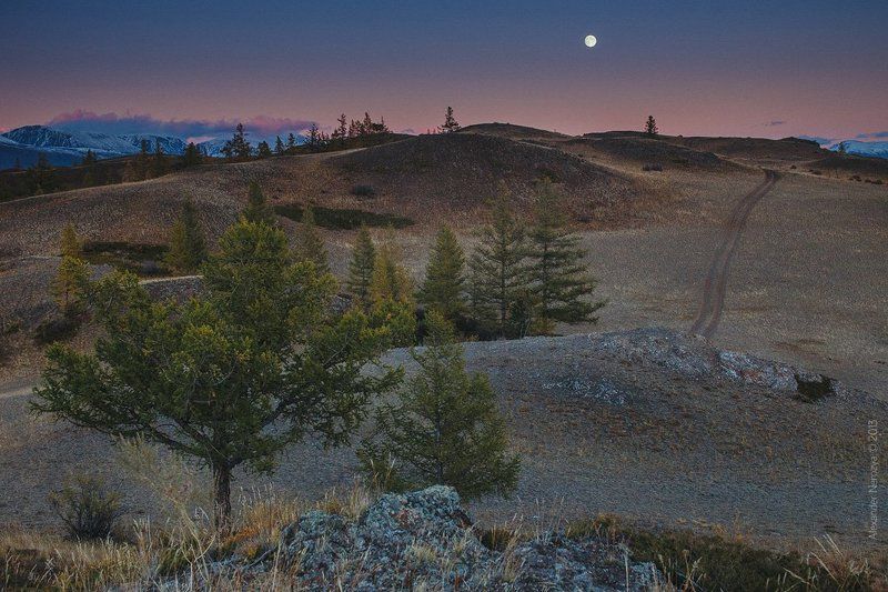 Лунная дорожкаphoto preview