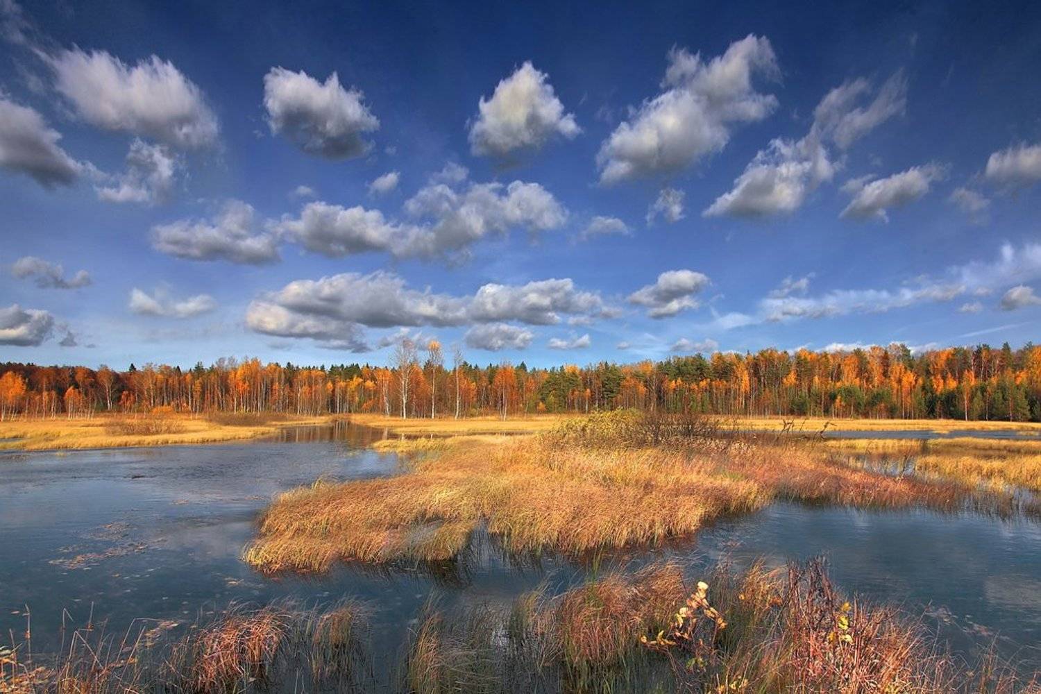 , Аркадий Усиков