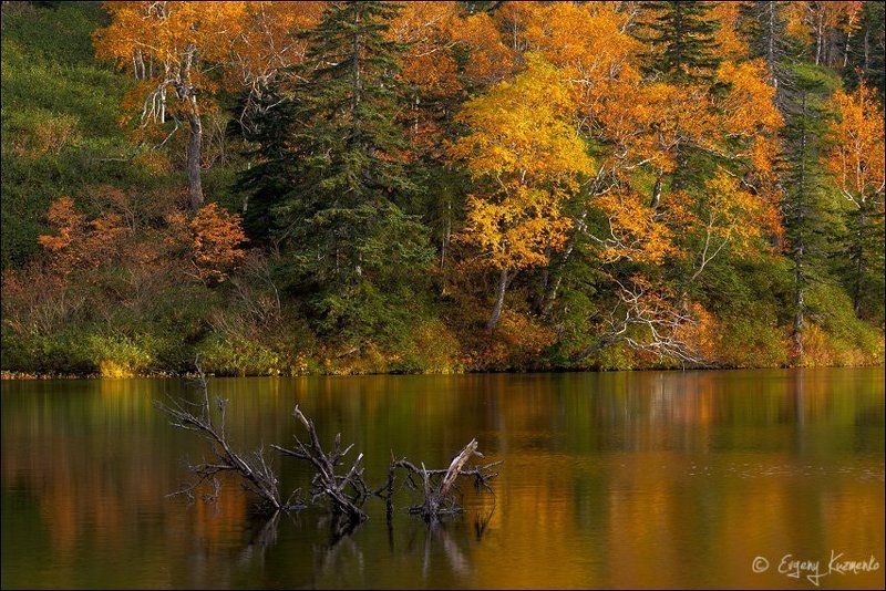 Гора шпамберг, Озеро моховое, Сахалин Осень на горных озерах у горы Шпамбергphoto preview
