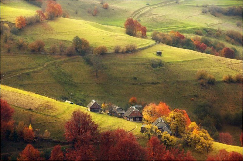 Осенние пасторали...photo preview