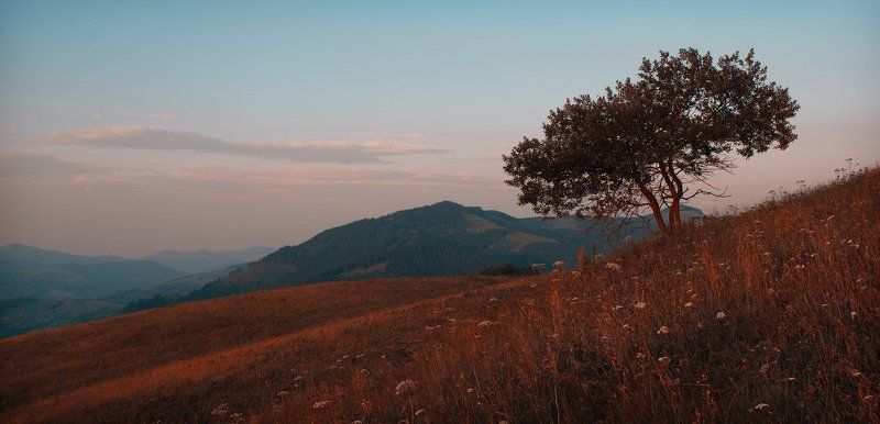 Вечереет...photo preview