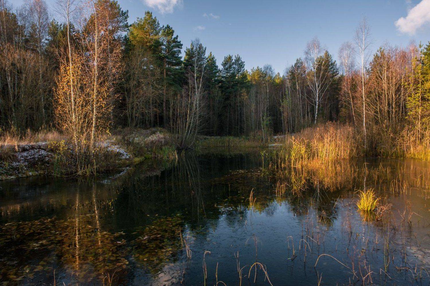 , Евгений Цветков