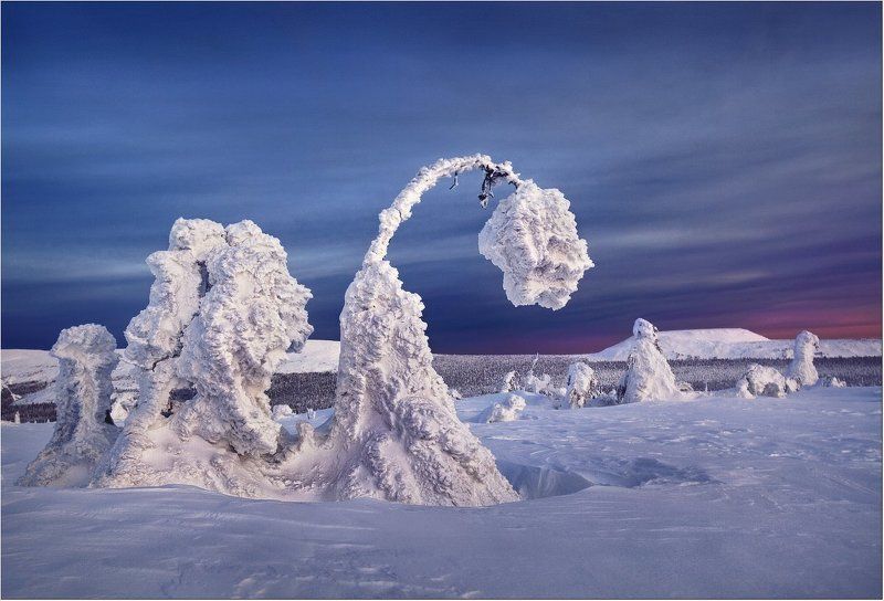 Когда зацветают тюльпаны...photo preview