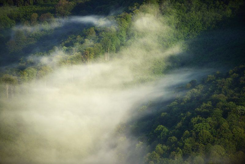 Morning fogphoto preview