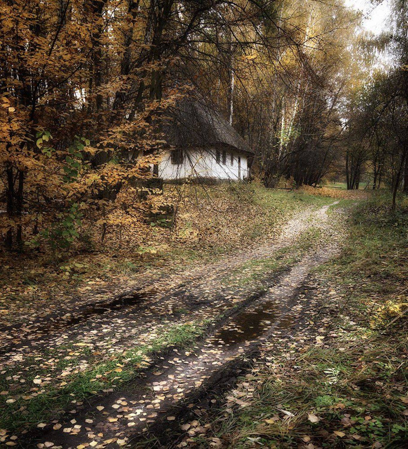 Унылая пора. Автор: Tina Grach , Tina Grach