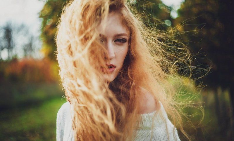 wind autumnphoto preview