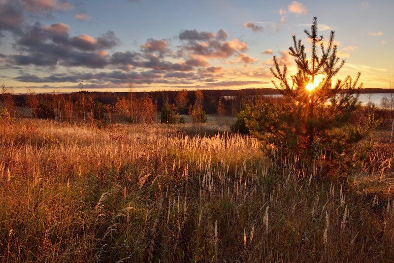 Вашутино Вашутинские рассветыphoto preview