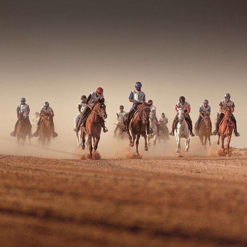 Horse Marathon IIphoto preview