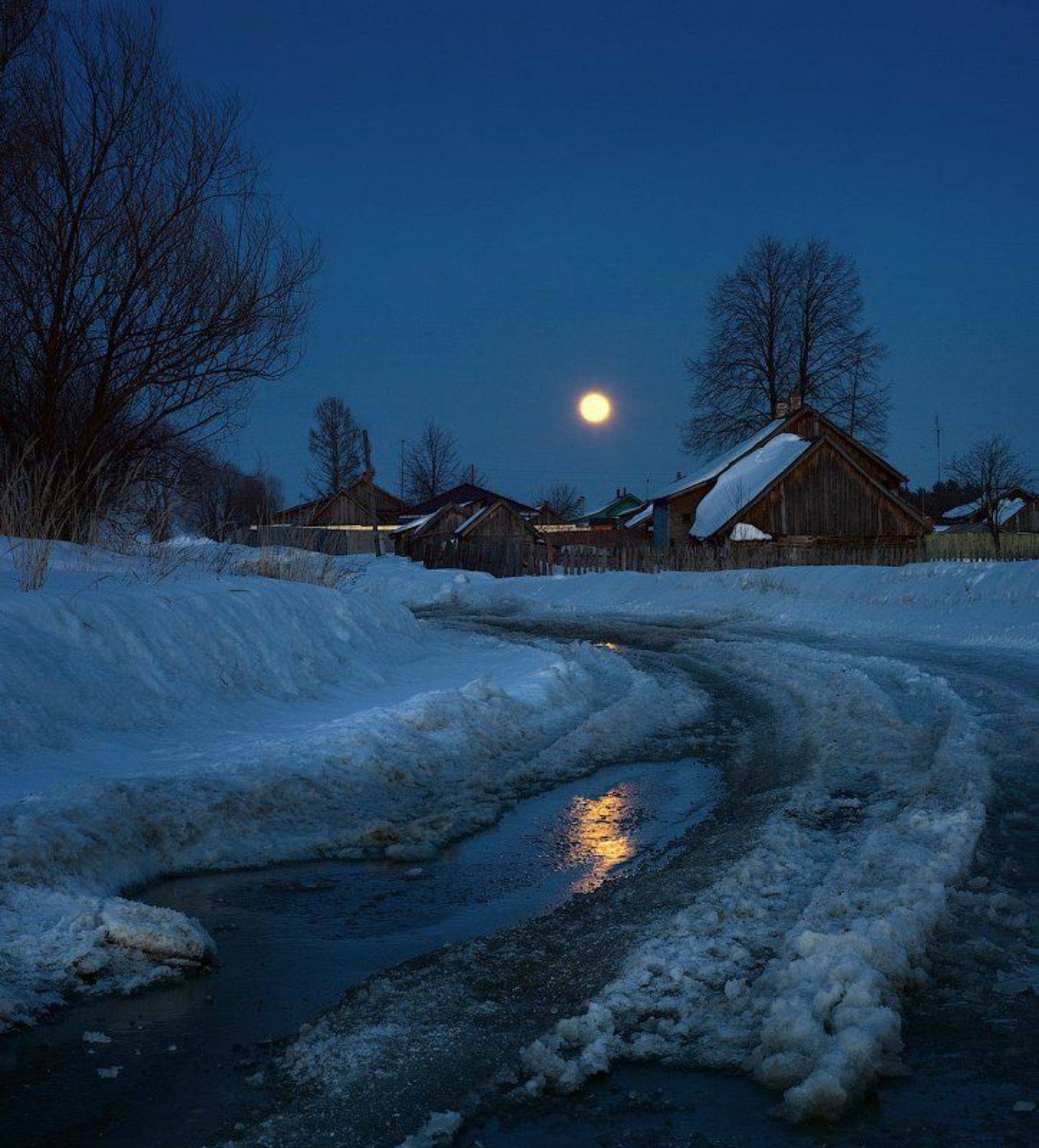 , Дмитрий Алексеев