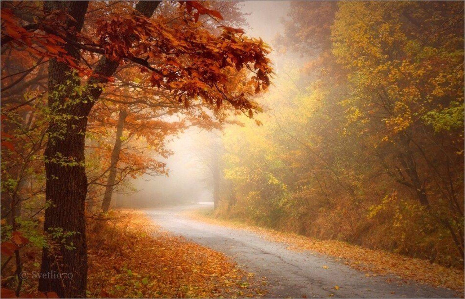 bulgaria, vitosha, Svetoslav Georgiev