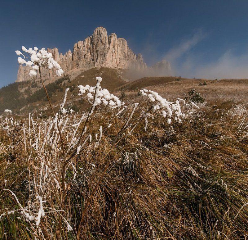 ПЕРВЫЙ ОСЕННИЙ СНЕГphoto preview