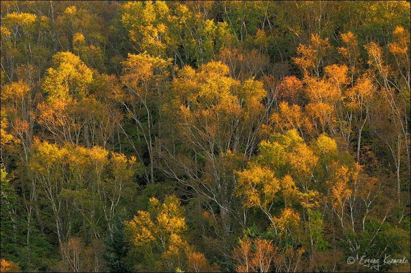 Осень на Холмском перевалеphoto preview
