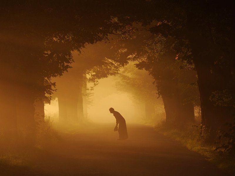 tribute to the sunphoto preview