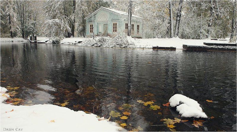 Первый снегопадphoto preview