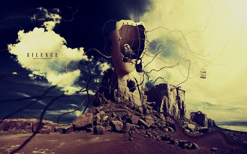 Silencephoto preview