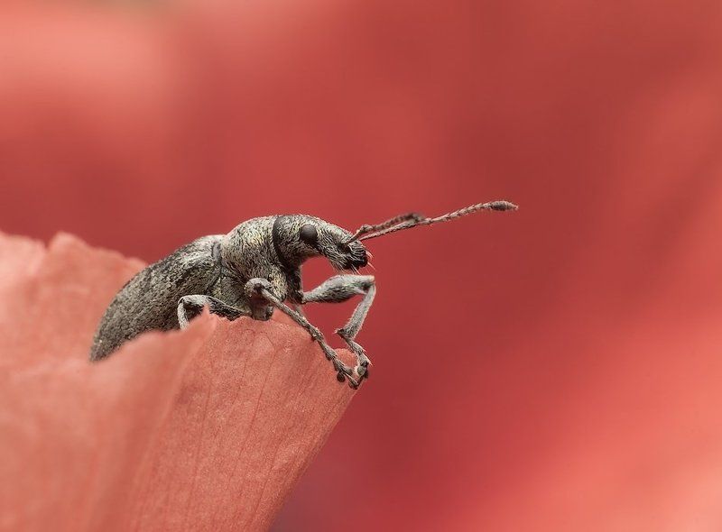 na balkoniephoto preview