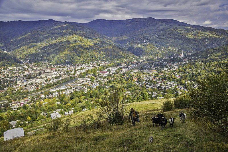 Жизнь в горах...photo preview