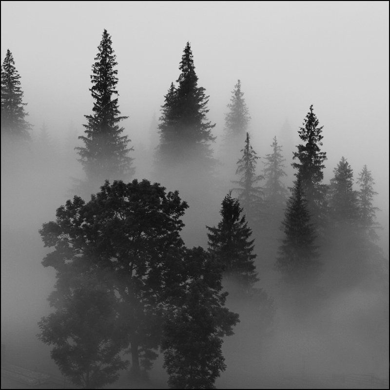 Призрачно все...photo preview