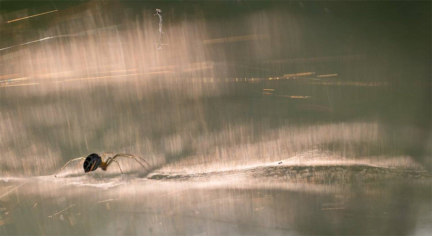 , Геннадий Мещеряков