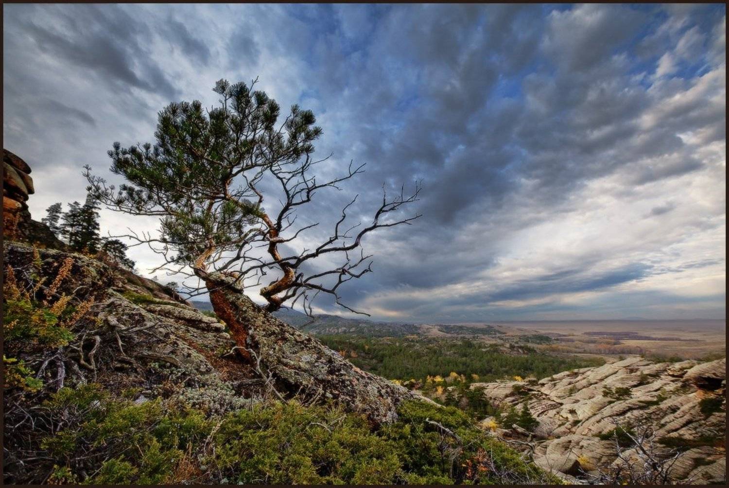 , Виталий из Н-ска