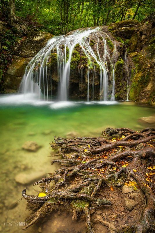 Линии Жизниphoto preview