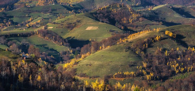 Last touch of autumnphoto preview