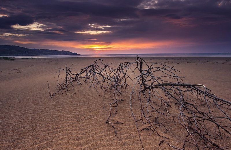 В ожидании приливаphoto preview