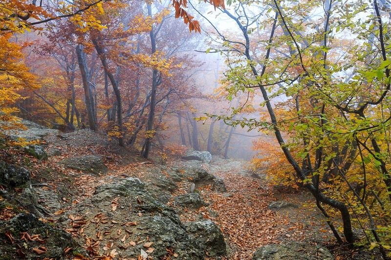 Мое знакомство с Демерджи. часть 2.photo preview