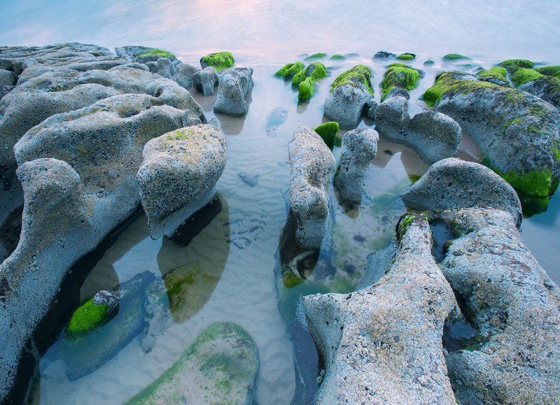 Узоры Нептунаphoto preview