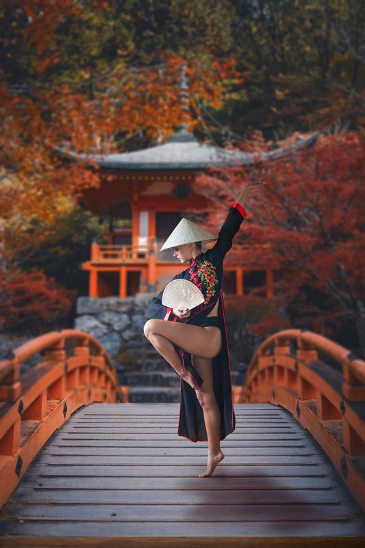 Japan bridgephoto preview