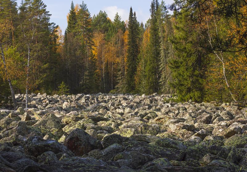 курум, курумник, каменная река, пейзаж, осенний пейзаж, южный урал, камни, лес, лес на камнях Курумник. ( Каменная река)photo preview