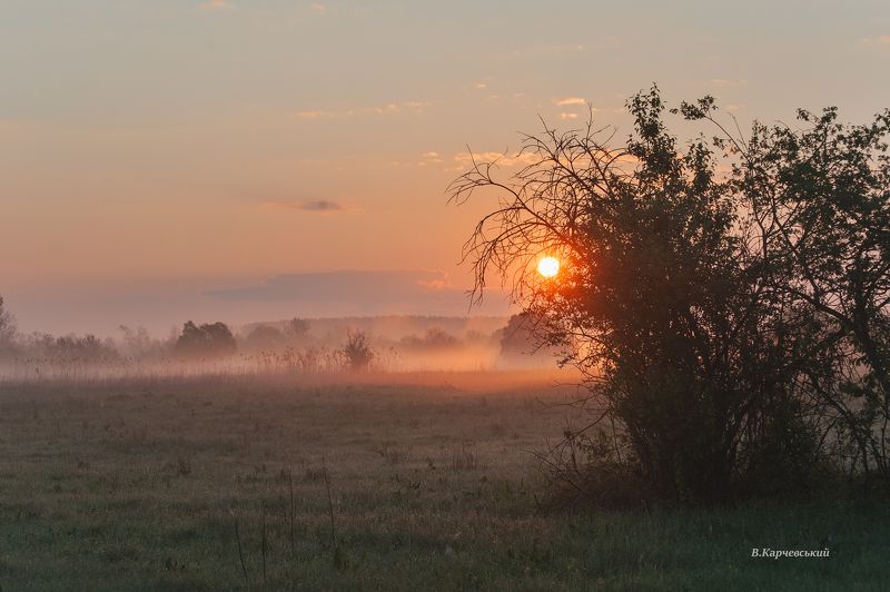 Лето - это маленькая жизнь. А июль - его новая страница ......photo preview