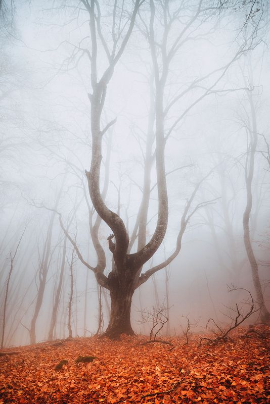 крым ***photo preview