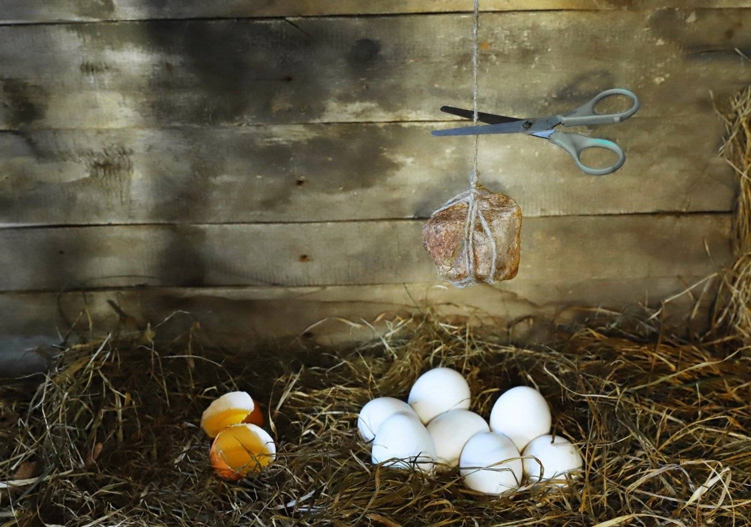 Жизнь наша бренная. Автор: Валерий Козуб , Валерий Козуб