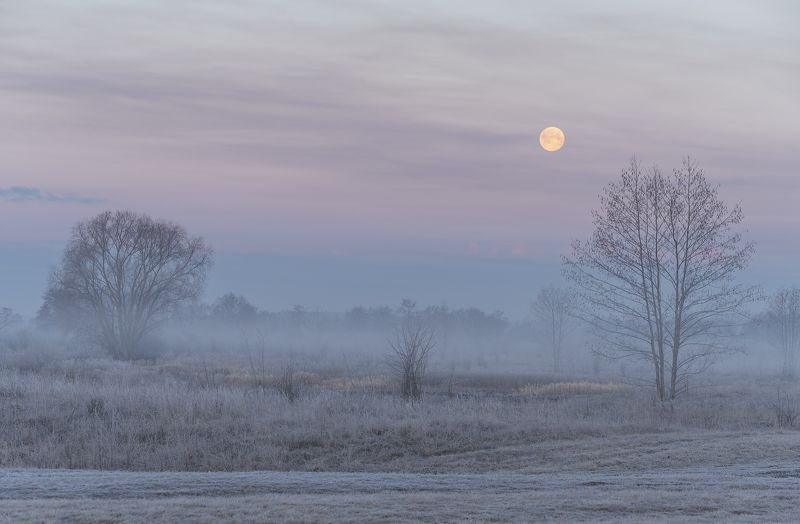 Мартовским утромphoto preview