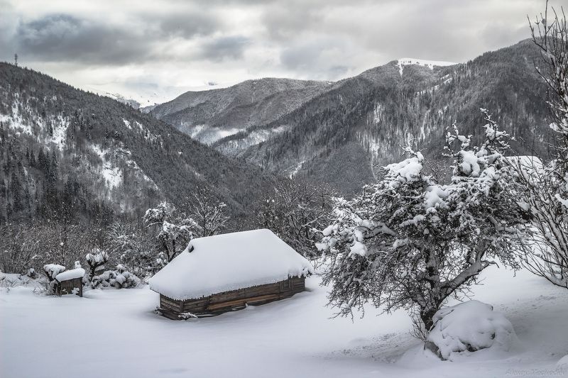 гори, закарпаття, зима, карпати, свидовець, смереки, сутінки, лопухів, лопухов, усть чорна, карпаты, хатки, село, долина Верхние хаты Лопуховаphoto preview