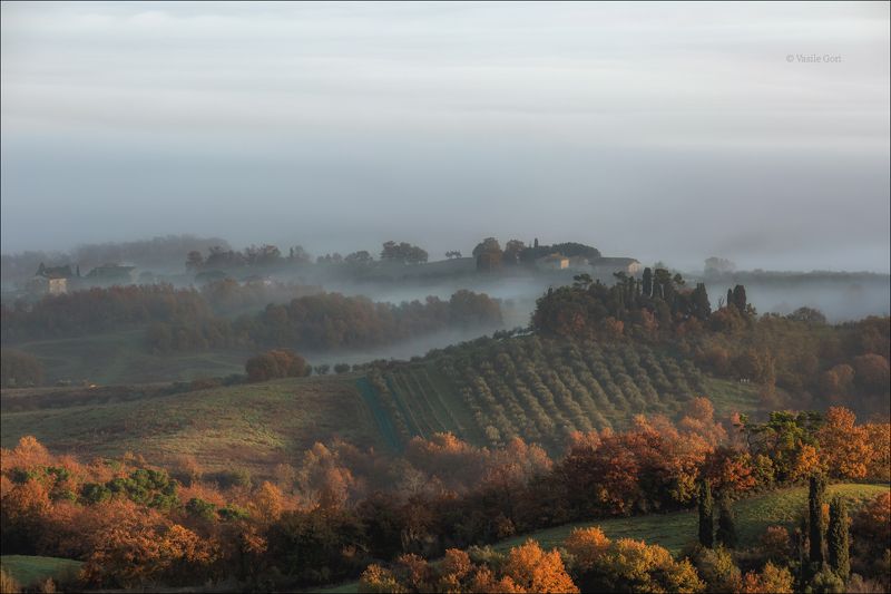 italy,туман ,italia,утро,италия,тоскана,кипарис,toscana,осень,tuscany,cipressi,belvedere,morning,colors,fog Утро Тосканыphoto preview
