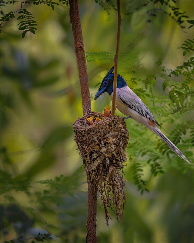 Let\'s do it, let\'s fall in lovephoto preview