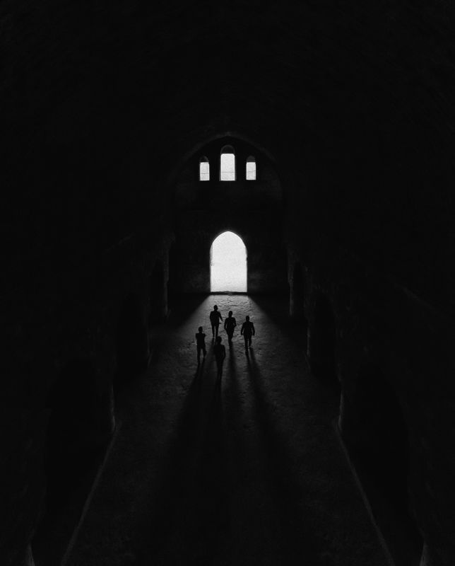 nikon  line lightphoto preview