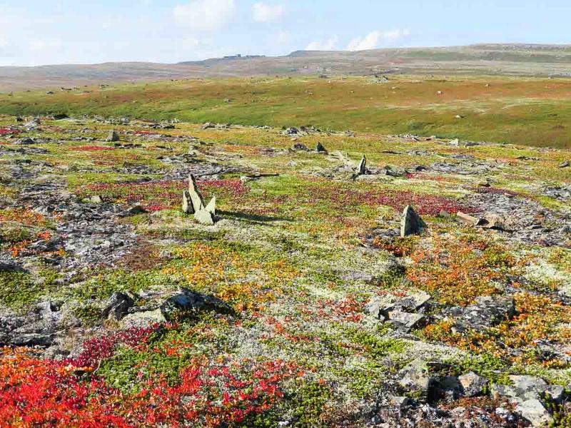 баренцево море, остров, тундра, камни, кильдин Тундра острова Кильдин. фото превью