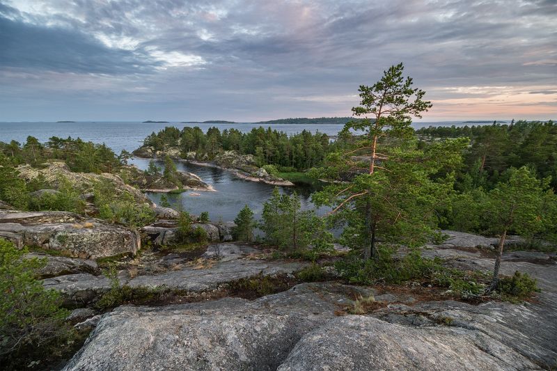 Ладога, озеро, лес, сосна, вечер, закат, сумерки, путешествие, пейзаж, Карелия, lake, forest, pine, evening, sunset, twilight, travel, landscape Вечер на Ладоге фото превью