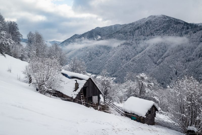 гори, закарпаття, зима, карпати, свидовець, смереки, сутінки, лопухів, лопухов, усть чорна, карпаты, хатки, село, долина Жизнь идет!photo preview