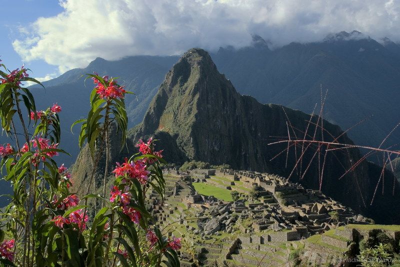 Мачу-Пикчу, Перу, путешествие, приключение, цветы, горы, Анды, Америка, шагнивнеизведанное Мачу-Пикчу, из серииphoto preview