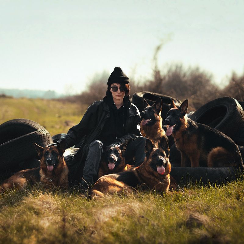 собаки .Великолепная и пятёрка. фото превью