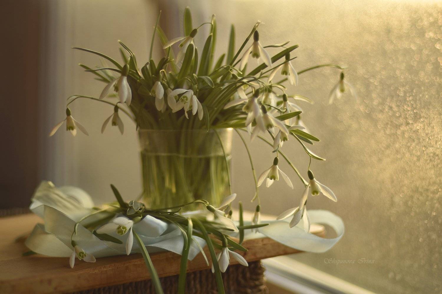 Свет и цвет весны. Автор: Шипунова Ирина подснежники, Шипунова Ирина