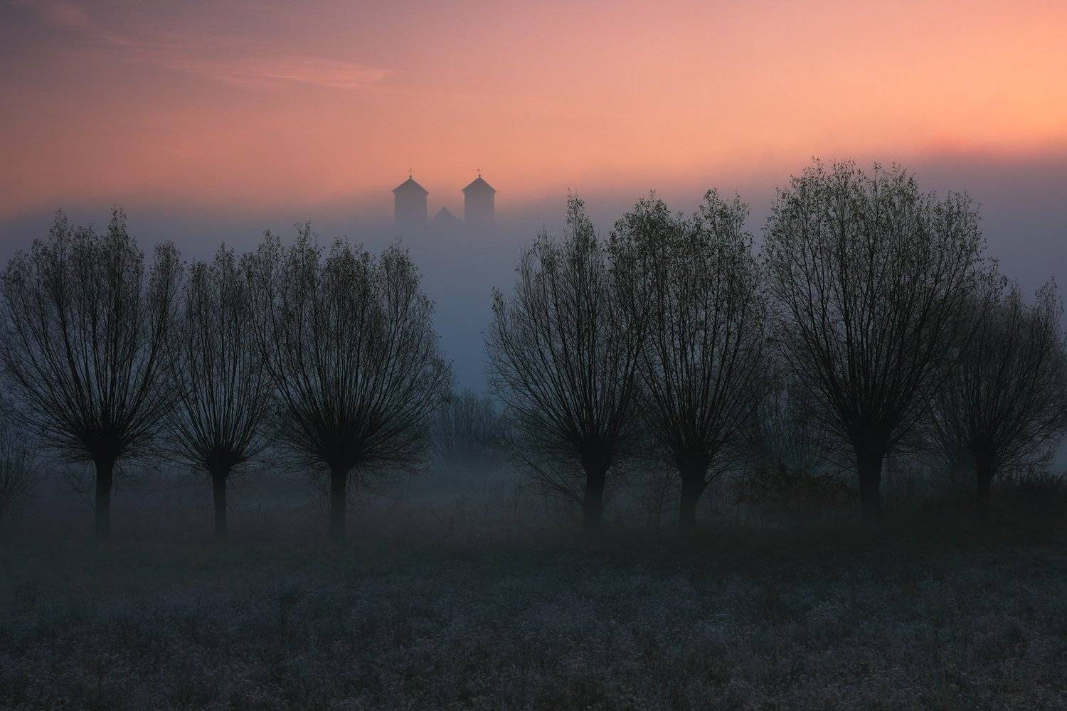 In the morning.... Автор: Jacek Lisiewicz sunrise, mist, fog, morning, willow, tree, abbey, monastery, tyniec,, Jacek Lisiewicz
