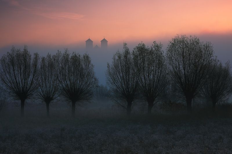sunrise, mist, fog, morning, willow, tree, abbey, monastery, tyniec, In the morning...photo preview